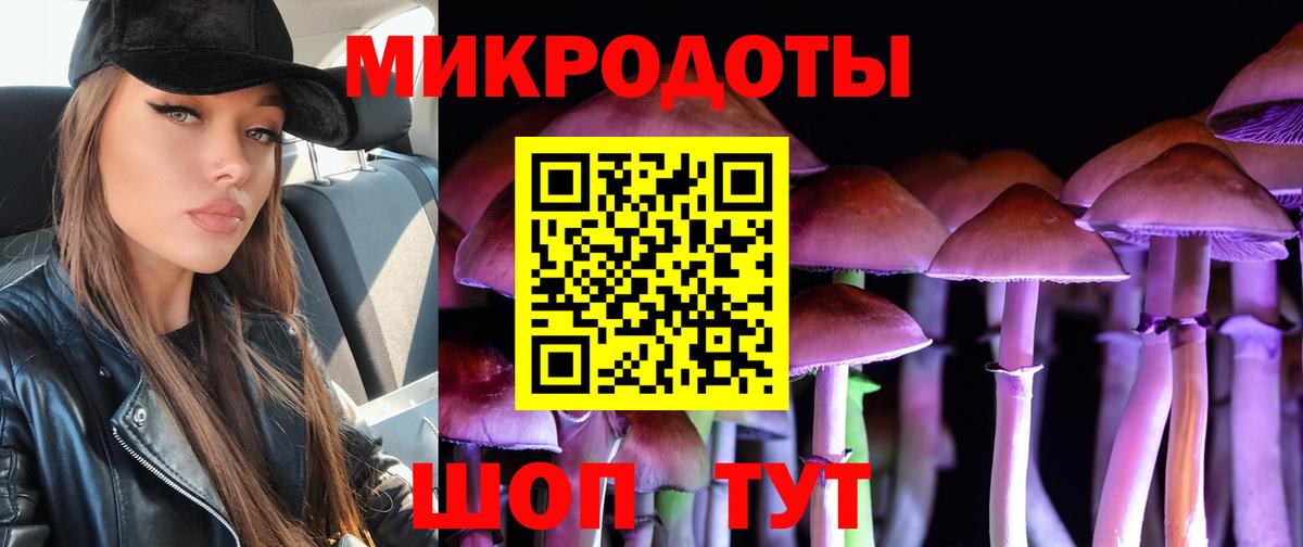 Псилоцибиновые грибы мухоморы Бердск